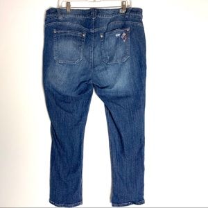 democracy jeans 16w